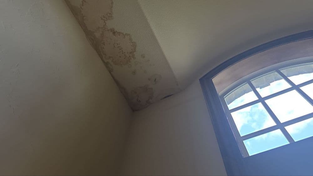 Water damage on ceiling with mold and window allowing natural light.